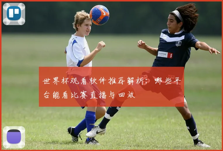 世界杯观看软件推荐解析：哪些平台能看比赛直播与回放