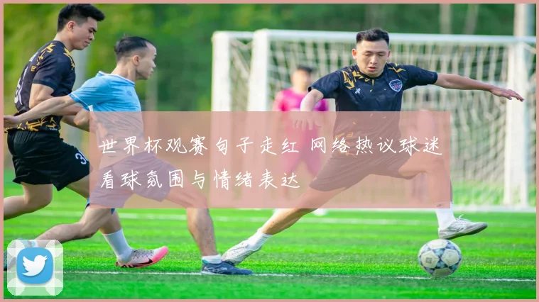 世界杯观赛句子走红 网络热议球迷看球氛围与情绪表达