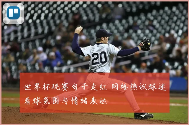 世界杯观赛句子走红 网络热议球迷看球氛围与情绪表达