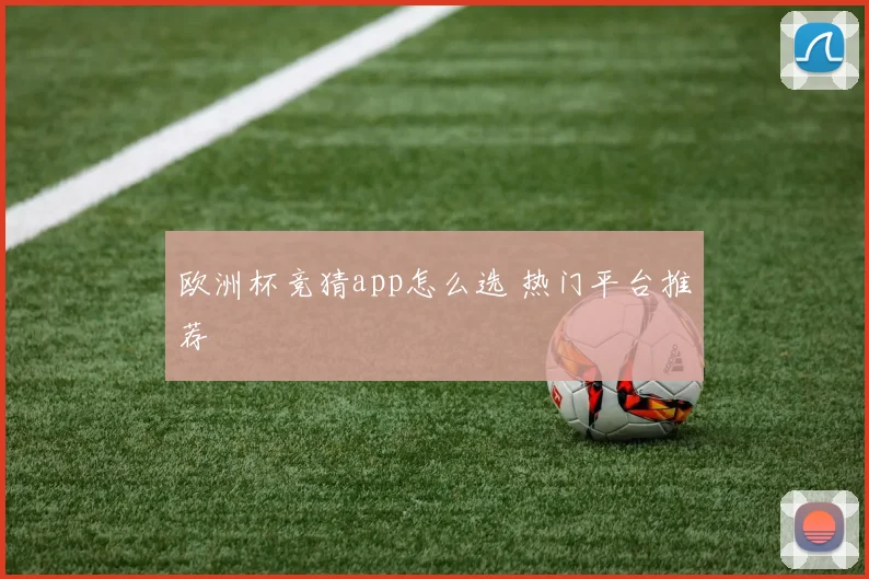 欧洲杯竞猜app怎么选 热门平台推荐