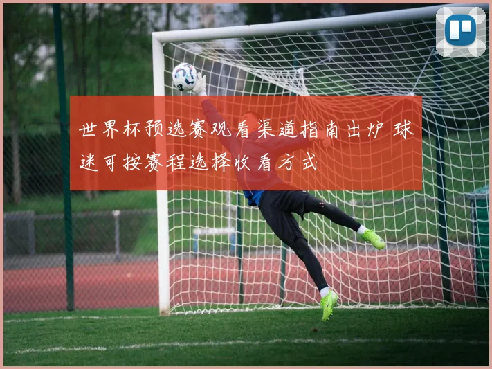世界杯预选赛观看渠道指南出炉 球迷可按赛程选择收看方式