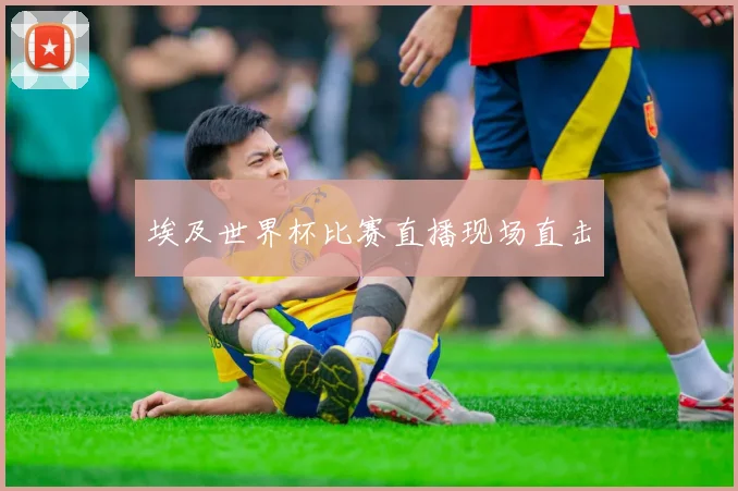 埃及世界杯比赛直播现场直击