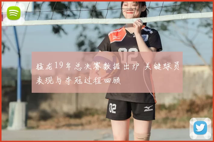 猛龙19年总决赛数据出炉 关键球员表现与夺冠过程回顾