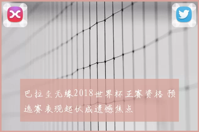 巴拉圭无缘2018世界杯正赛资格 预选赛表现起伏成遗憾焦点