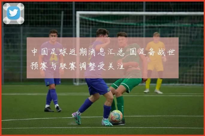 中国足球近期消息汇总 国足备战世预赛与联赛调整受关注