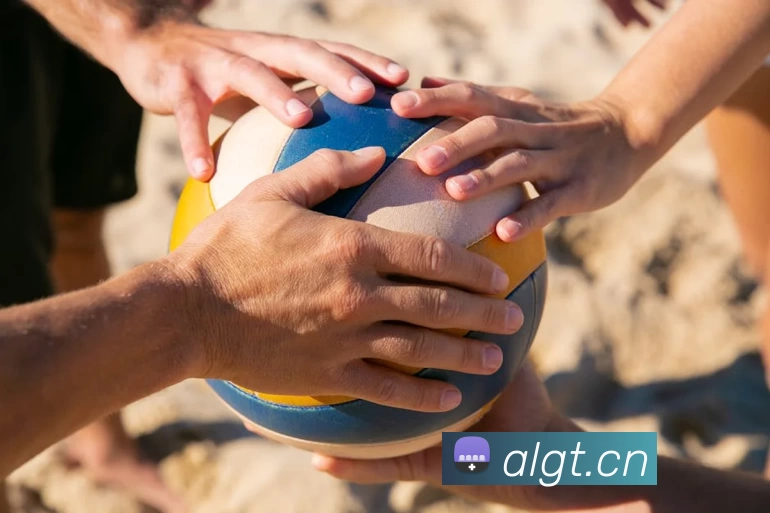 星空官网免费入口服务体系